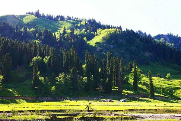 拉薩-林芝-波密-崗云杉林-米堆-然烏-日喀則8晚9日游