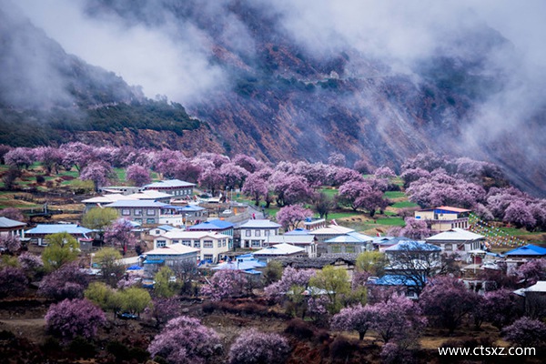 一個人去拉薩有多危險