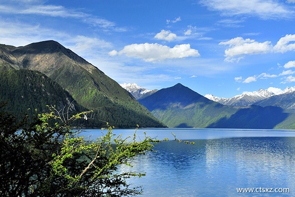 去西藏一般多少天