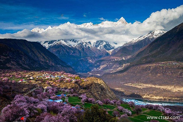 林芝的桃花什么時(shí)候開得漂亮