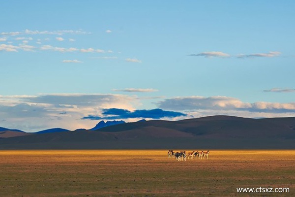 去拉薩坐哪趟火車風(fēng)景最好