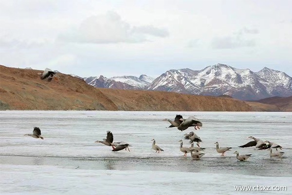 西藏旅游攻略幾月份去合適