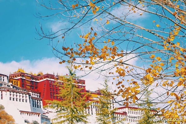 哪個季節(jié)去西藏最美