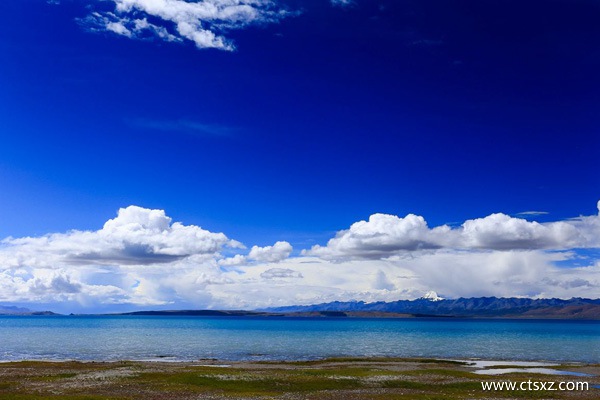 拉薩當?shù)芈眯袌F價格