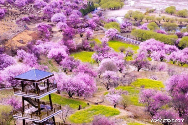 三月去西藏旅游好嗎