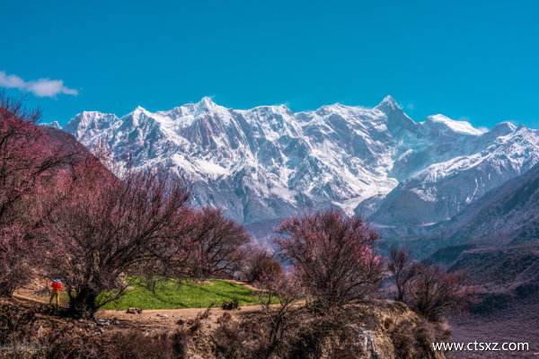 西藏旅游團(tuán)