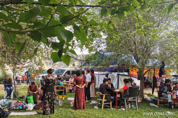 跟團(tuán)去西藏多少錢