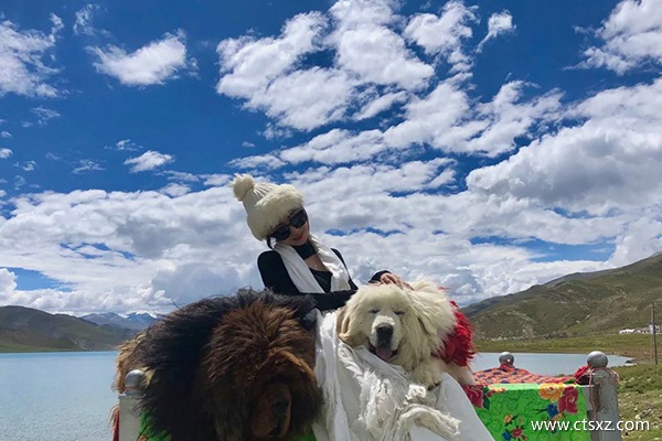 西藏旅游團(tuán)報(bào)價(jià)7日游