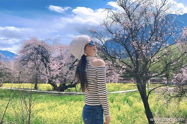 廣州去西藏跟團多少錢