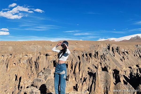 天津去西藏跟團價格