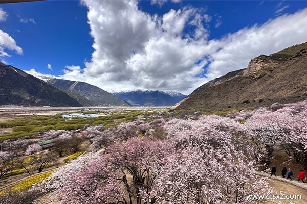 西藏本地團(tuán)多少錢