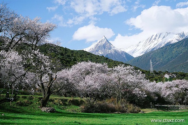 去拉薩的團(tuán)一般多少錢