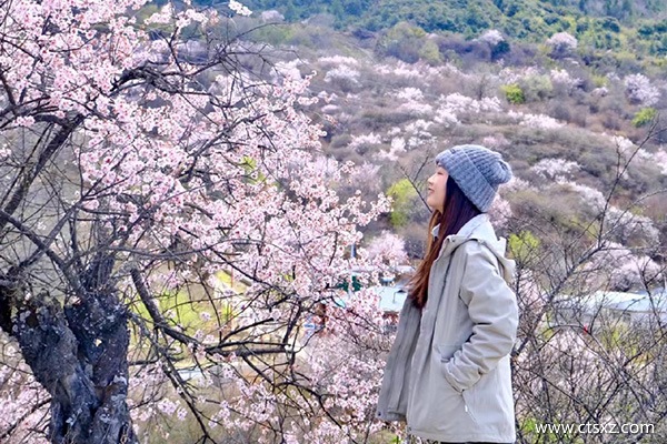 徐州到西藏跟團(tuán)旅游多少錢一個人