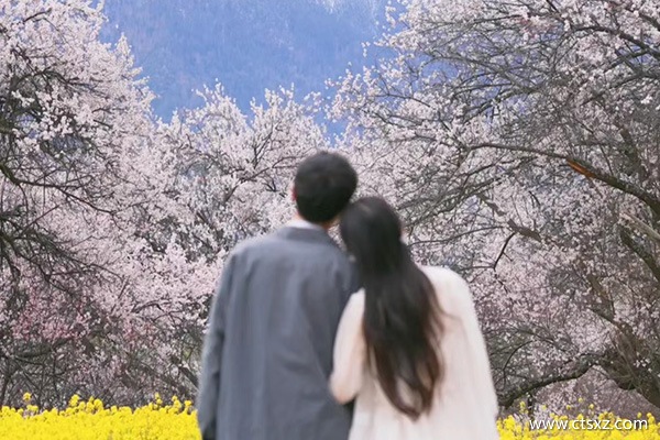 西藏跟團(tuán)費(fèi)用