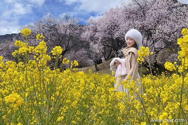 跟團(tuán)去西藏的費(fèi)用