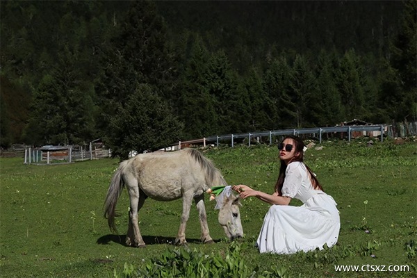 跟團(tuán)去西藏的費(fèi)用