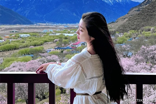 跟團去西藏大約多少錢