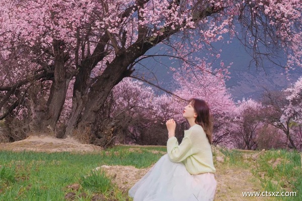 進西藏旅游注意事項