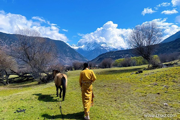 7日游西藏跟團(tuán)多少錢一個人