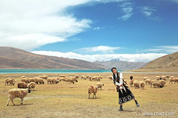 西藏報(bào)團(tuán)游8天要多少錢(qián)